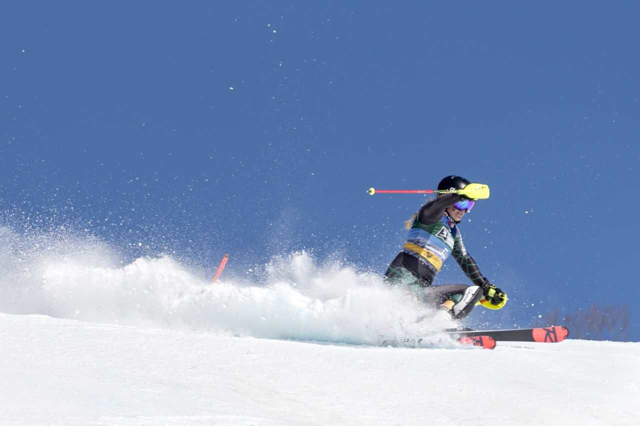 ski